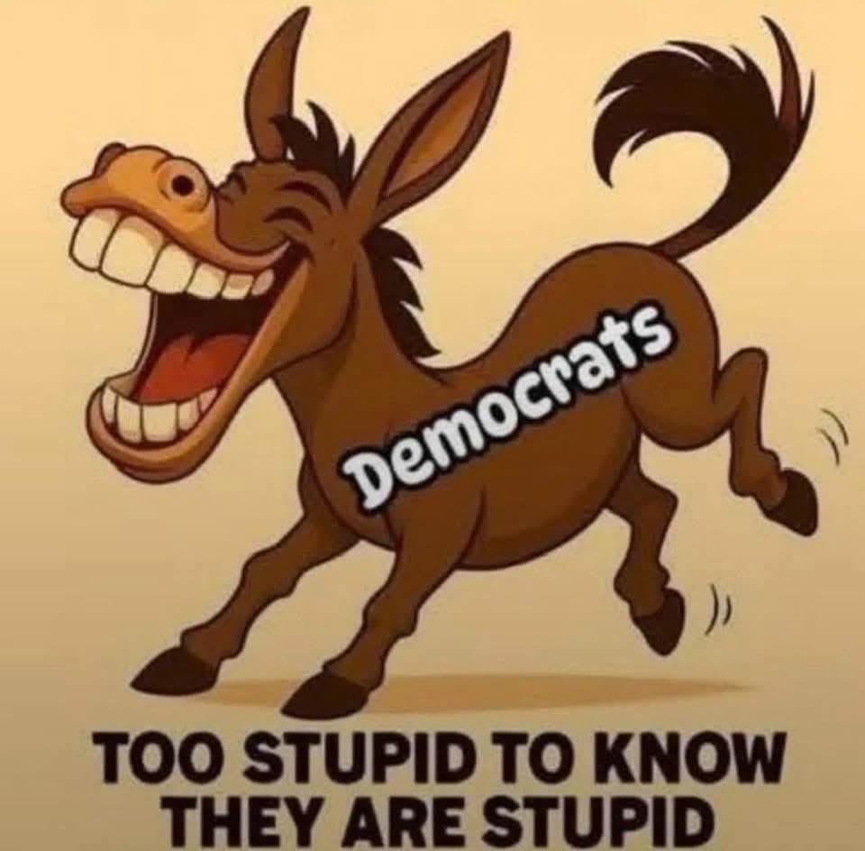 none tweet media