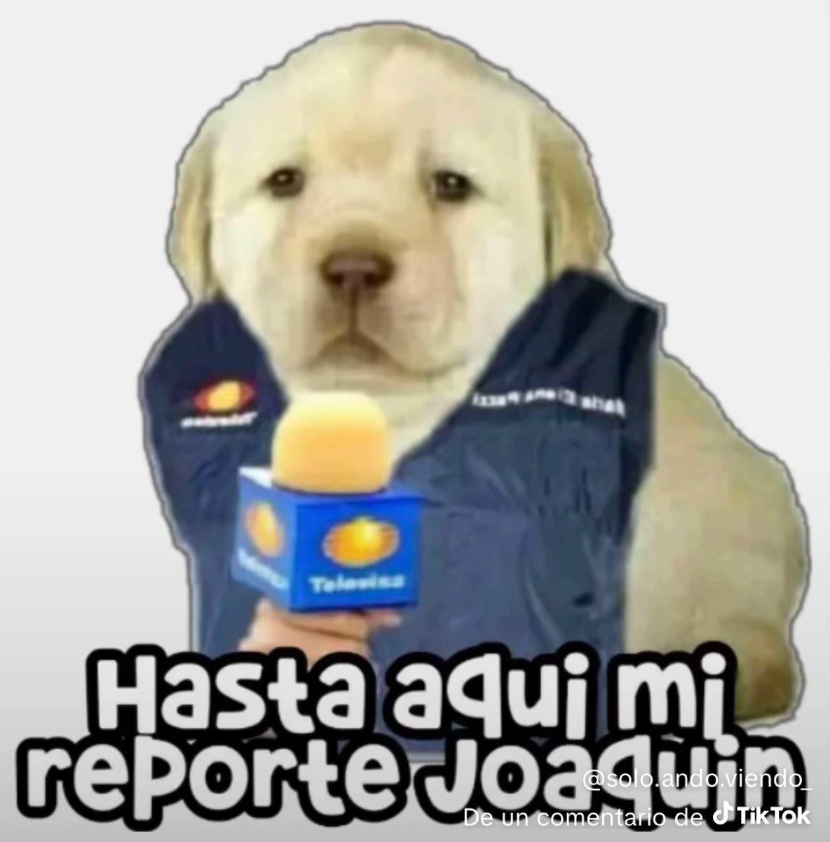 Sandía 🍉 tweet media