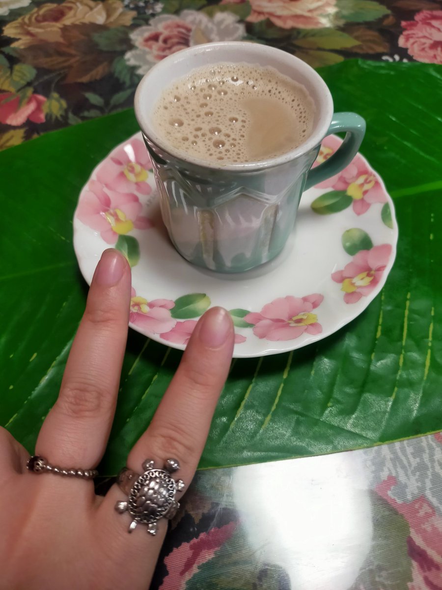 🧅Tamanegi🧅 tweet media