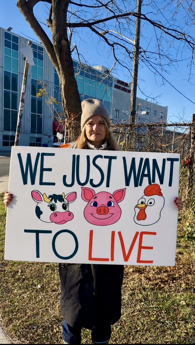 KELLI VEGAN for animals 🌱🦋💕💜 tweet media