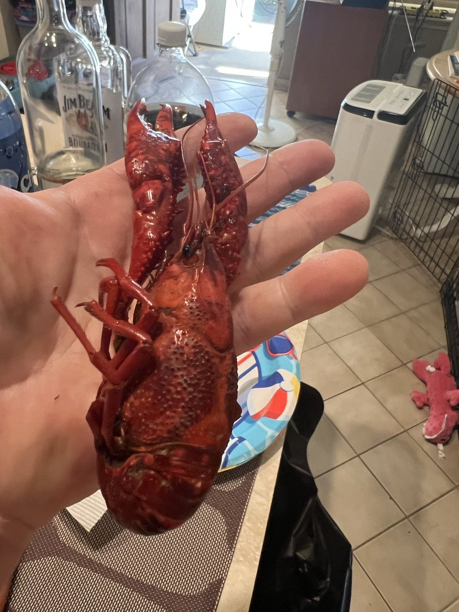 Del Griffith- Shower Curtain Ring Division tweet media