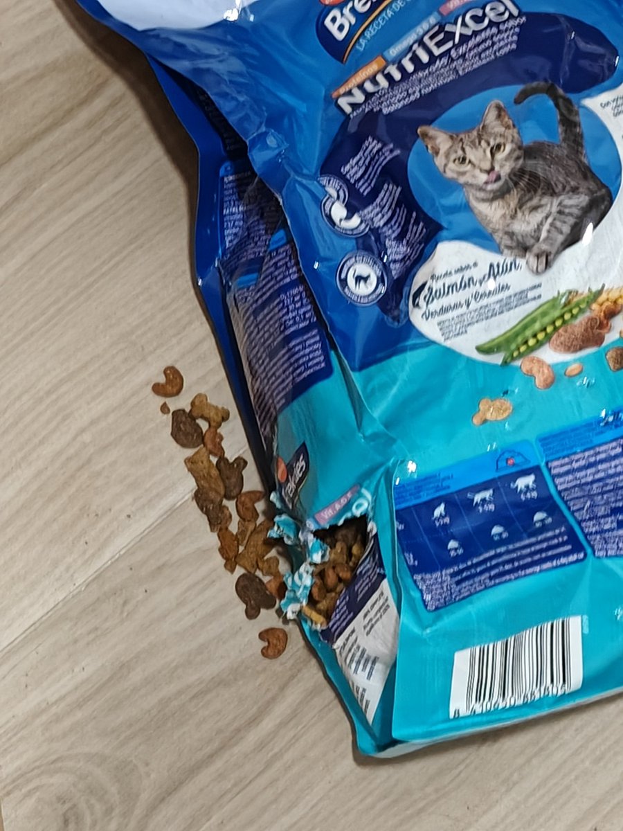 Nuria90C's tweet photo. Paso una noche fuera y el gato decide desenchufar el comedero y sobrevivir de otra forma https://t.co/jVWArUSCzv