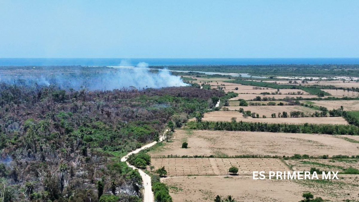 Gelosnivon's tweet image. #URGENTE📣🔥|| Un incendio forestal afecta el Parque Nacional Lagunas de Chacahua en #Oaxaca 

‼️Brigadas de emergencia combaten las llamas en el Sector A, donde se reportan 30 hectáreas consumidas. Las autoridades mantienen los trabajos para controlar el siniestro. #SOS 

Lee