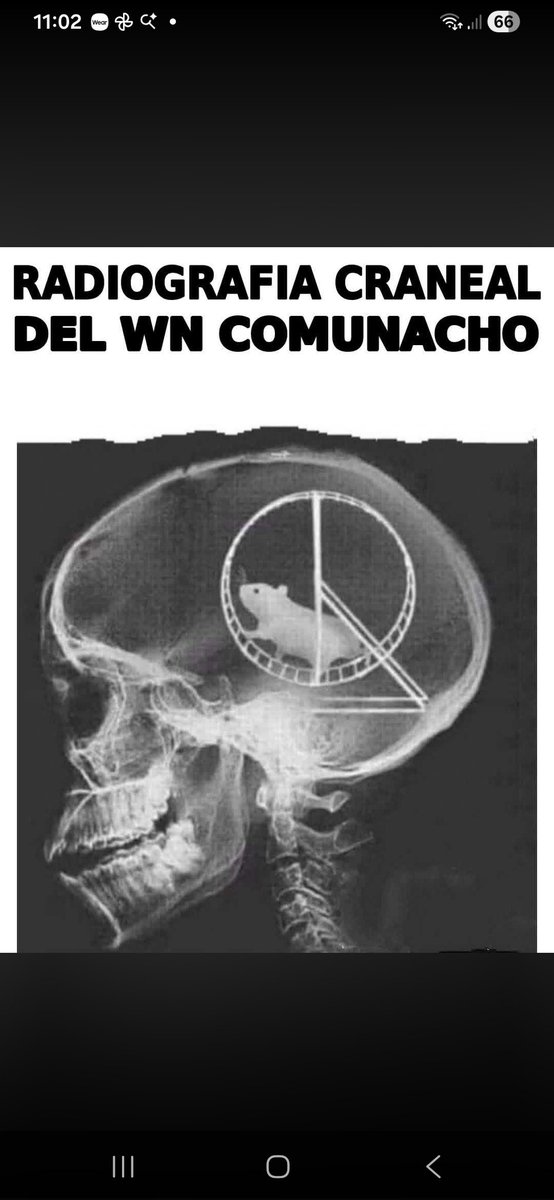 Raulacho, Republicano y Anticomunista 🇨🇱 tweet media