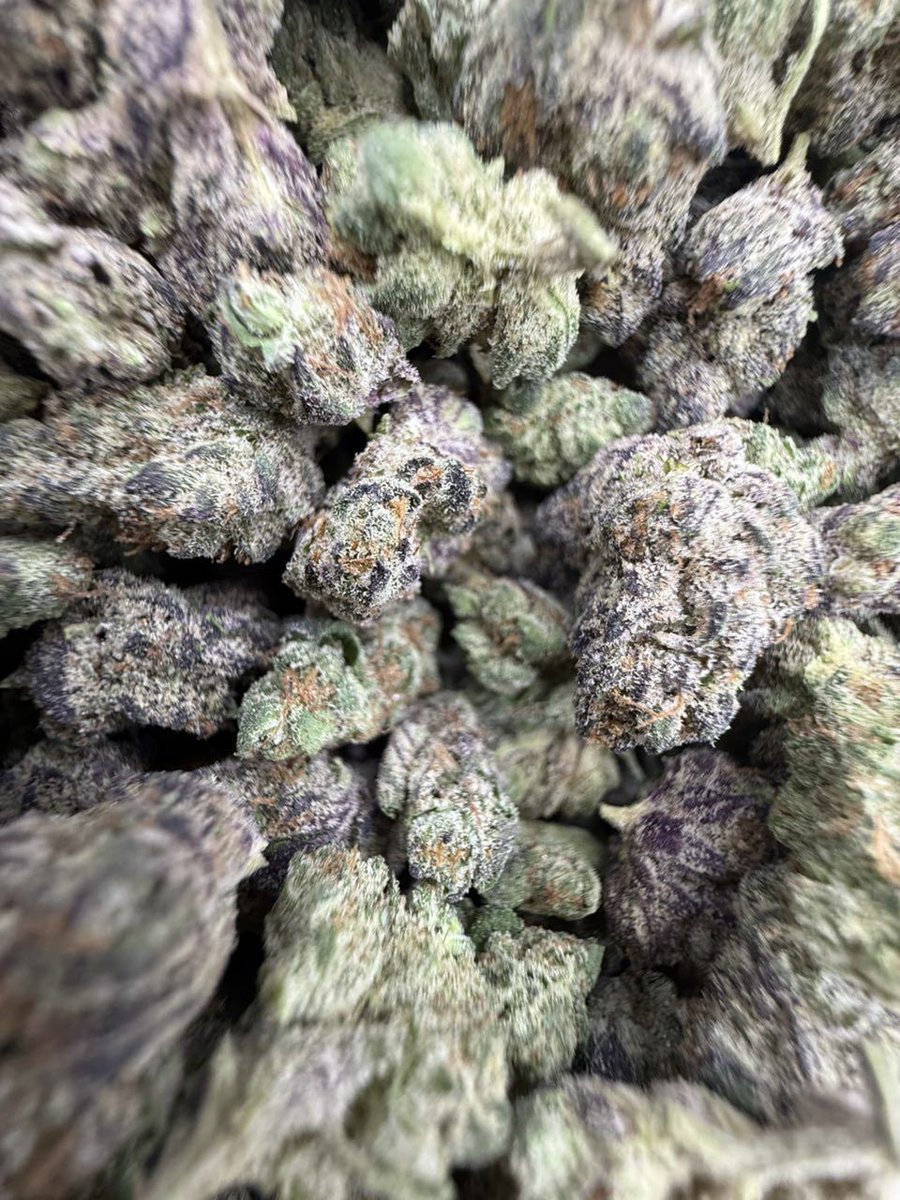 og_smoka's tweet image. I Always try to show real love and this babies gives me inspiration Sharklato 
License indoor smalls #420Community
#420Friendly
#CannabisCommunity
#StonerFam
#Mmemberville
#topshelf
#mids
#kind
#brickweed 
#cannabishassavedmylife  #marijuanahassavedmylife