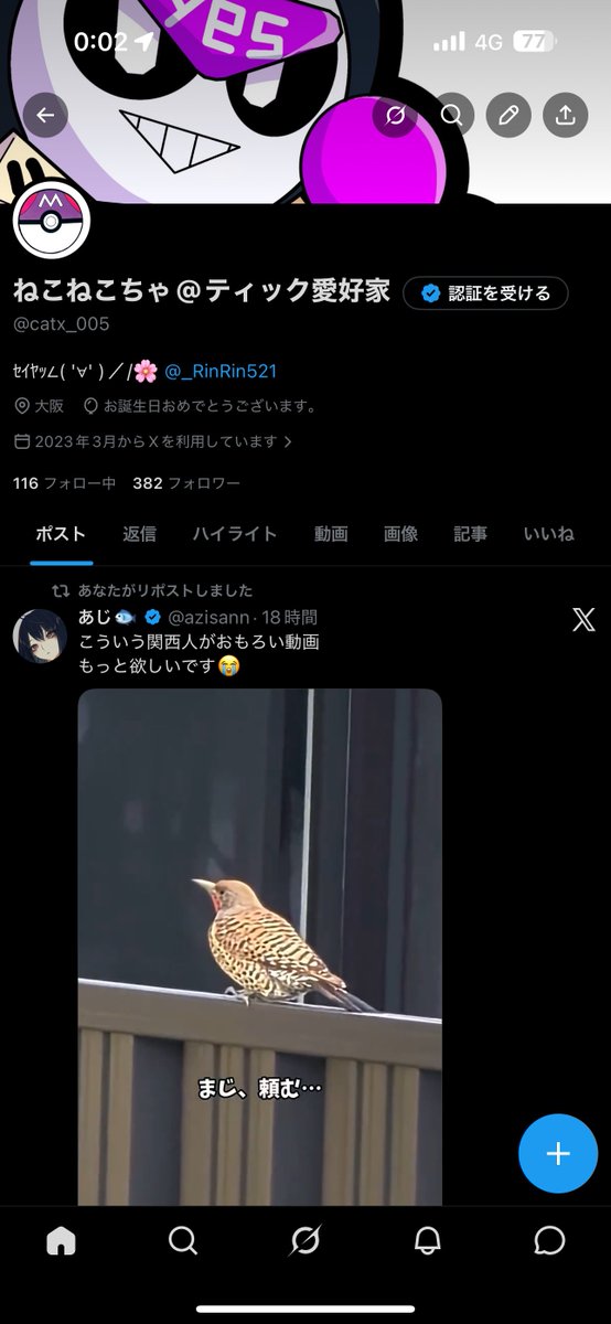 ねこねこちゃ@ティック愛好家 tweet media