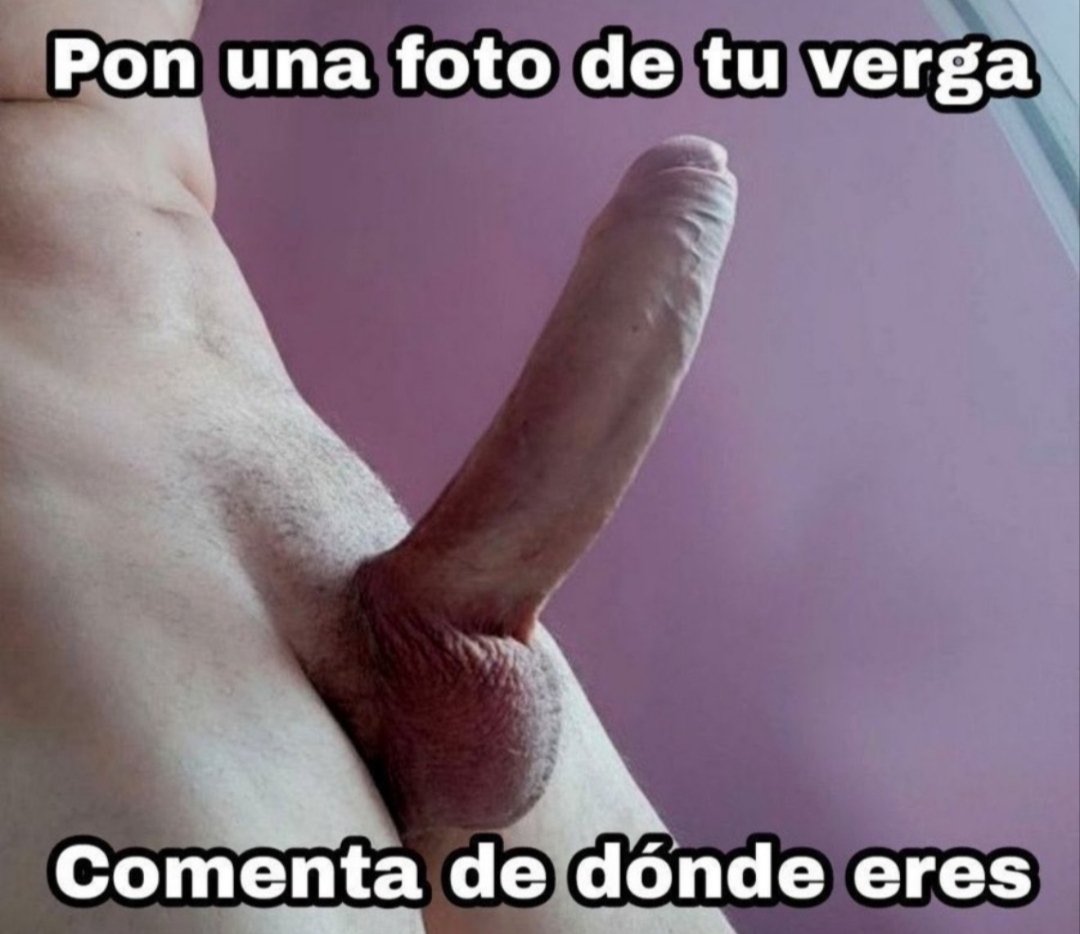 andrea tweet media