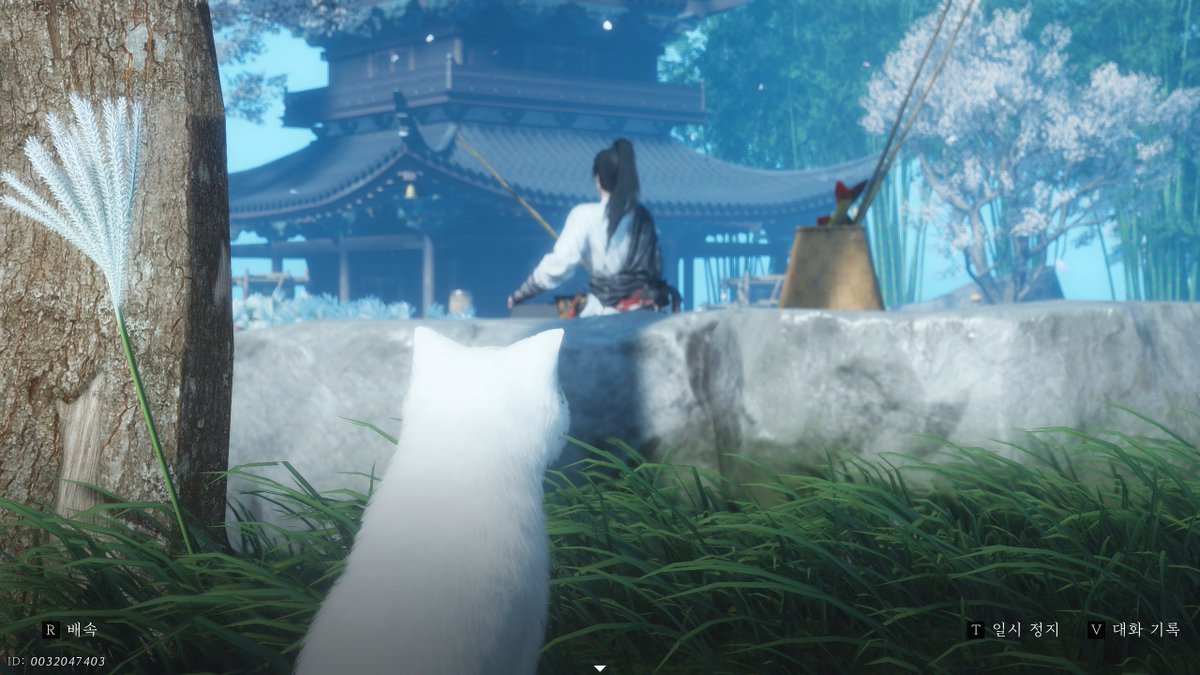 밥을 노리는 맹수

🐟