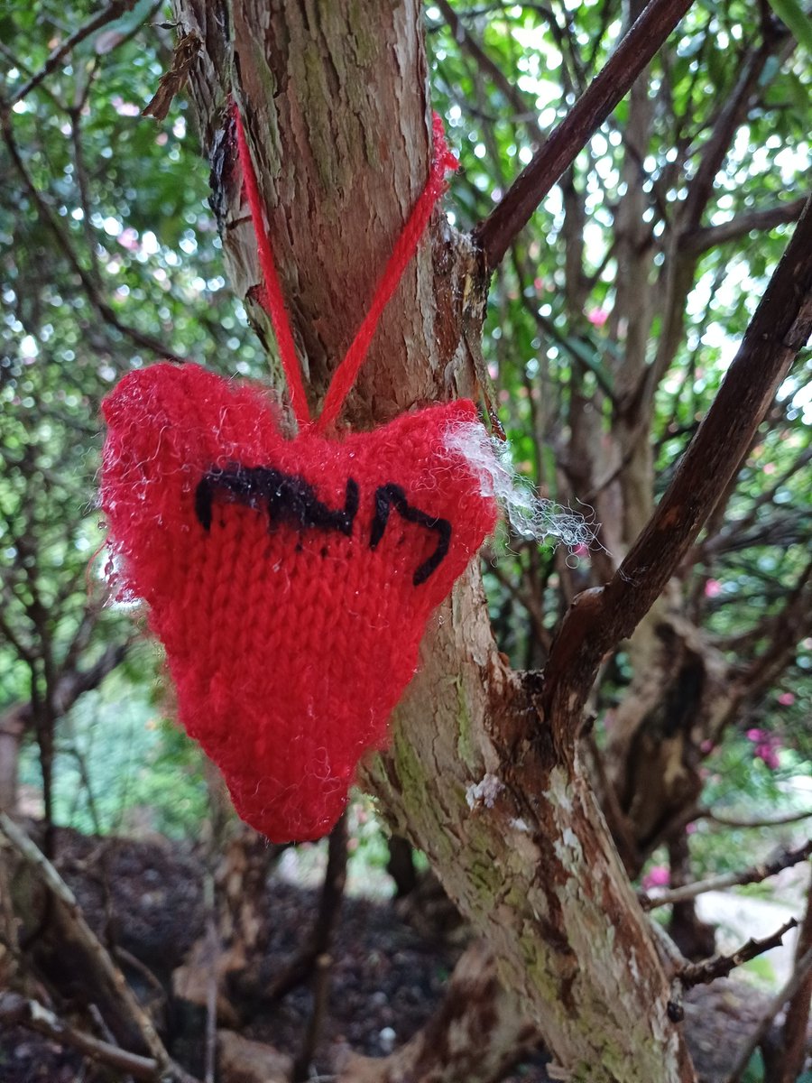 kendie's tweet image. Mum's knitted heart is still there in a lovely pink rhododendron bush. Dropped off the form to sponsor a small part of the new garden area in memory of Mum ❤️ #rememberingmum #dorothyclivegardens