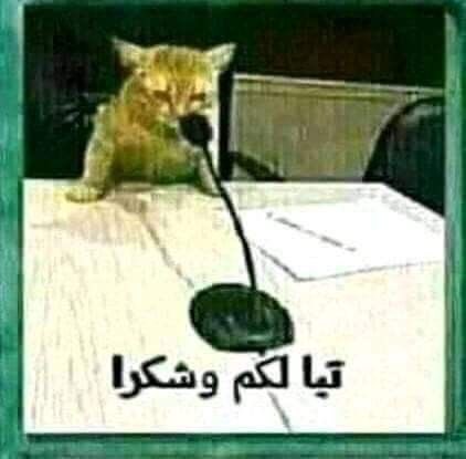 👌🏻👍🏻🫷🏻 tweet media