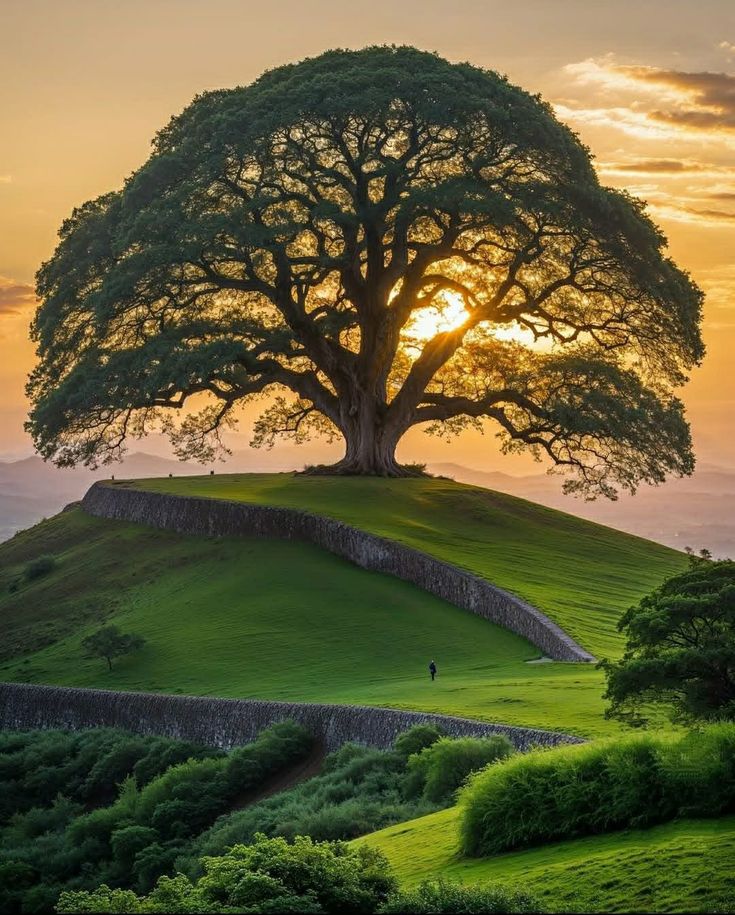 Earth 🍃 tweet media