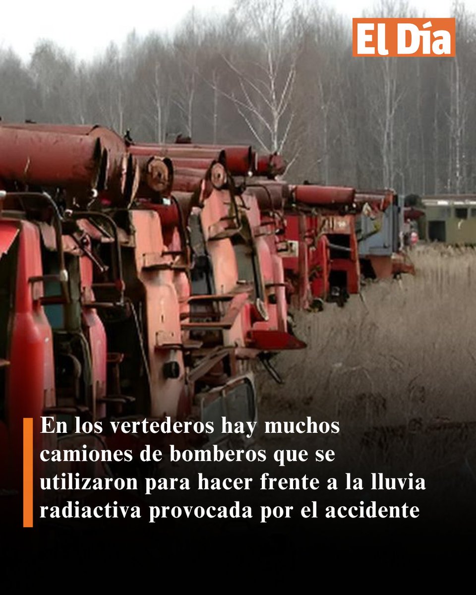 Periódico El Día tweet media