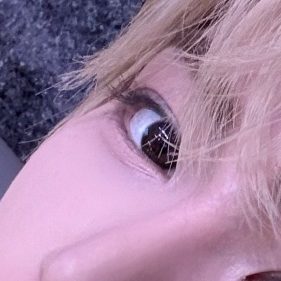 이제 tweet media