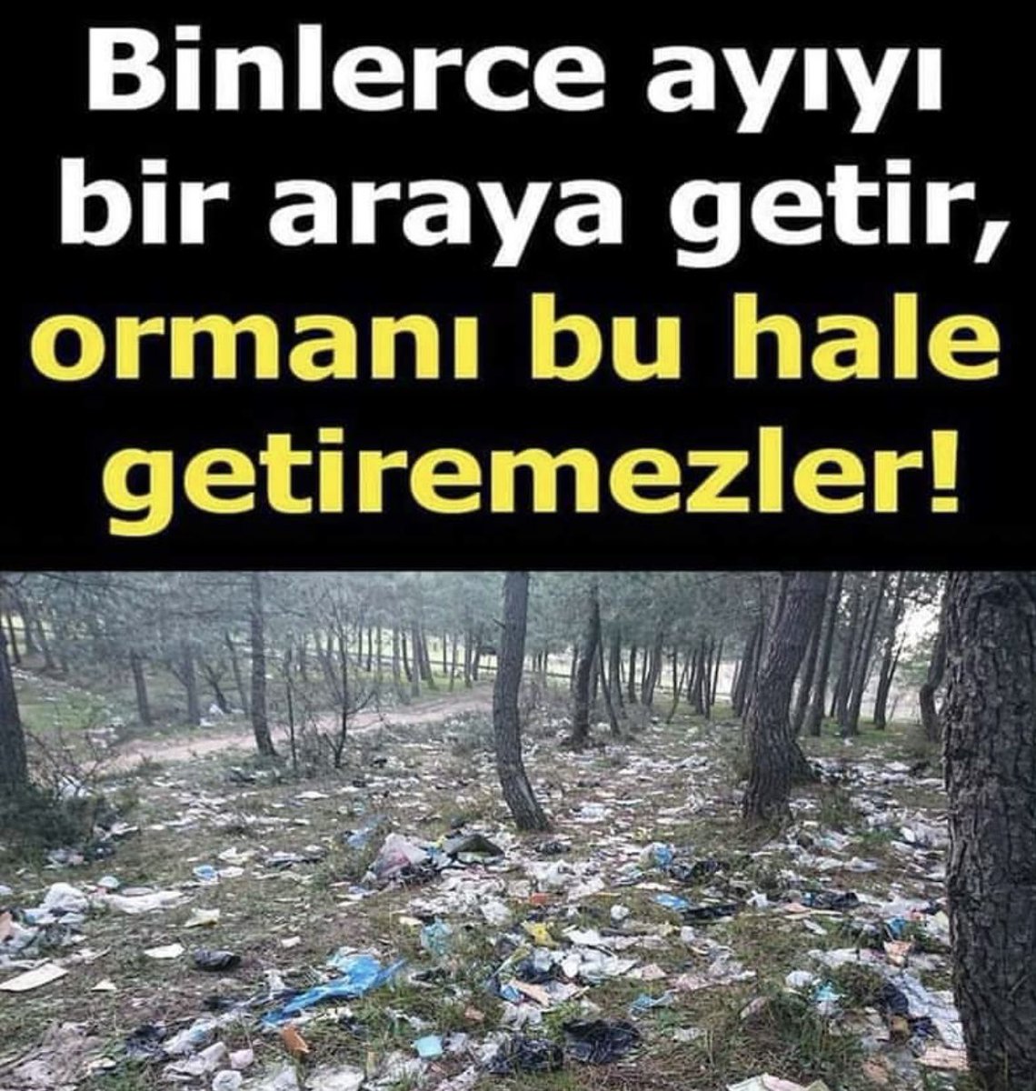 ebru tweet media