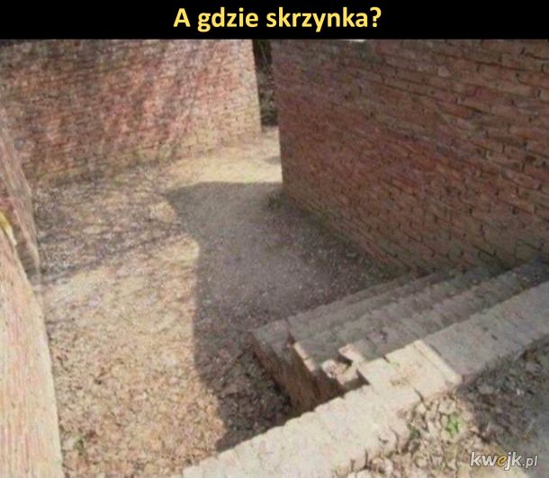Axide.pl tweet media