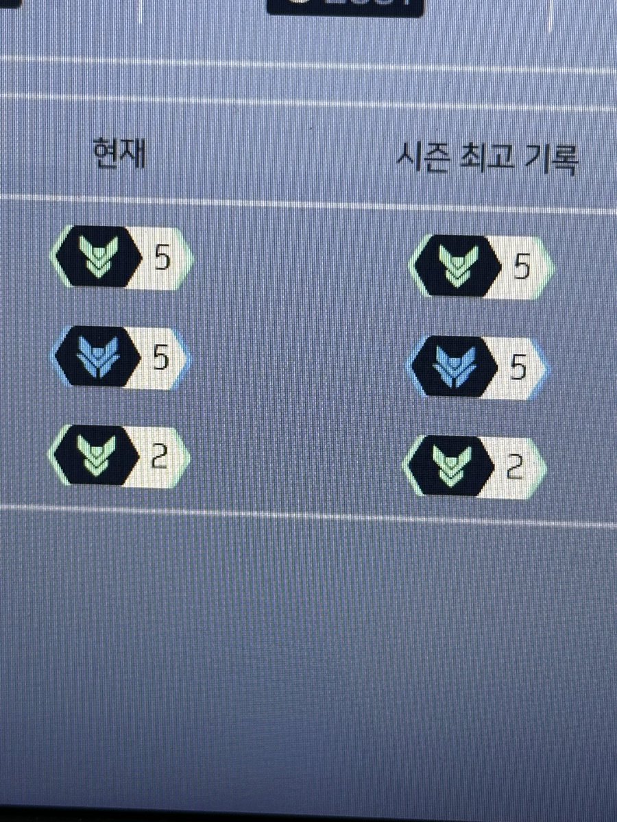 둡우 tweet media