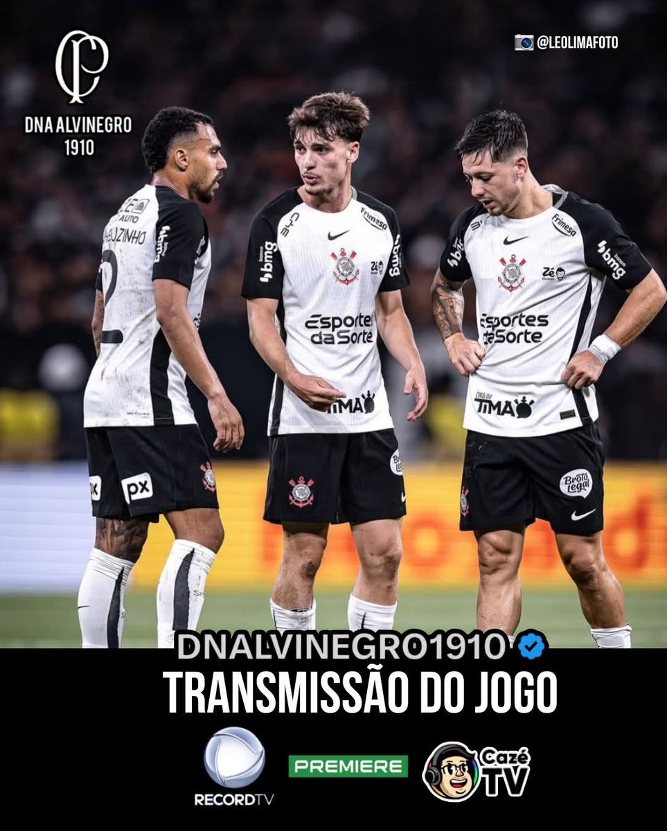 Dna Alvinegro 1910 tweet media
