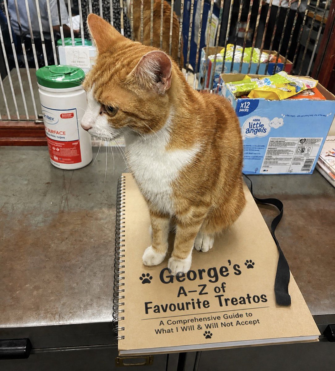 TheStourbridge's tweet image. Unfortunately this publication has been… rejected 

Apparently it’s “too demanding” and “not inclusive of non-chicken options.”

I will now be taking this up with senior management… and sulking.

#Cat #CatsOfTwitter #CatsOnTwitter