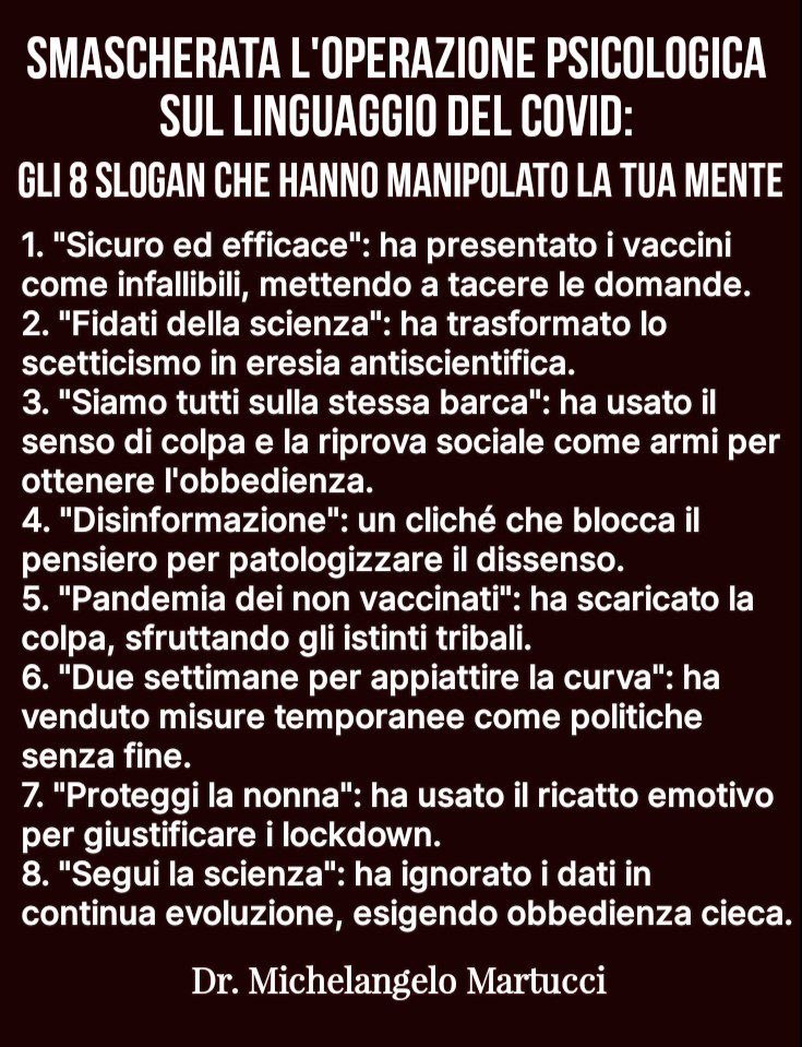 Sabrina F. tweet media
