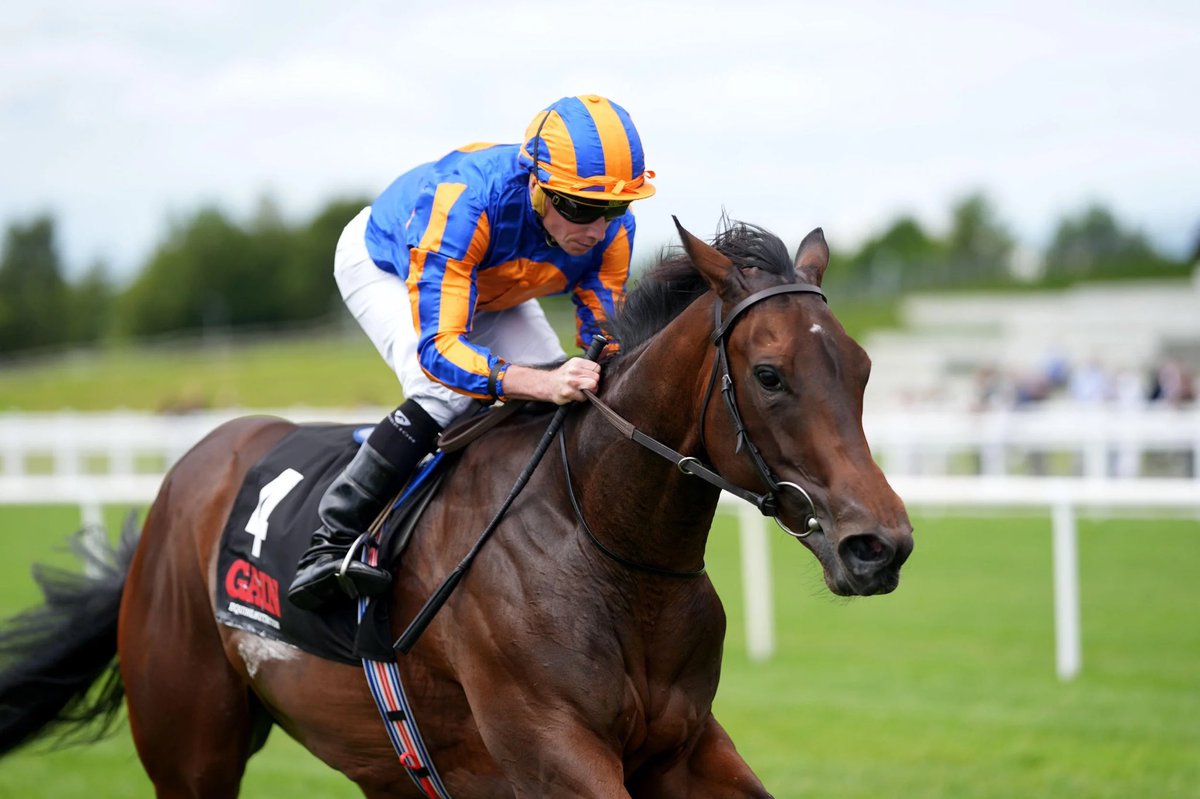 The Curragh Racecourse tweet media