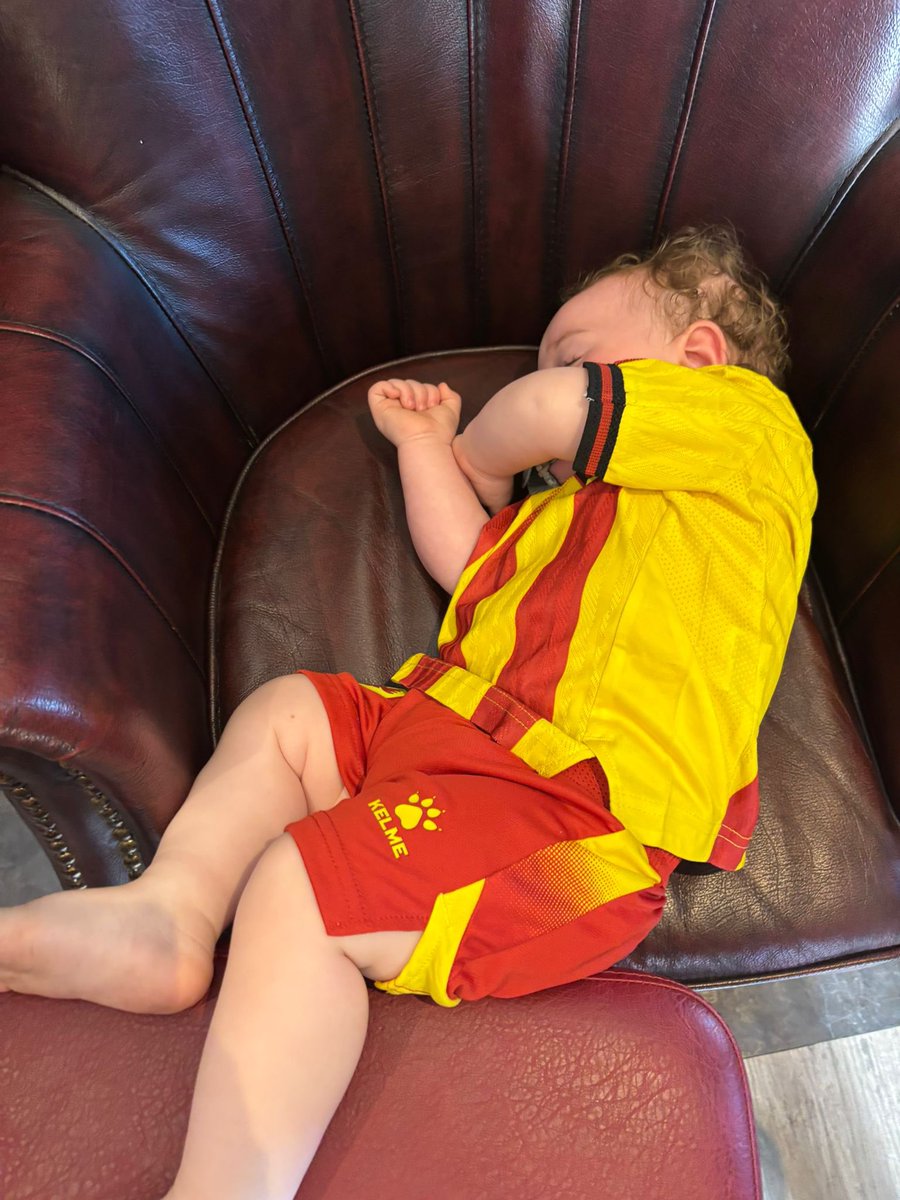 weaver_v's tweet photo. First game for this one year old on Monday @1HHornet @watfordfc safe to say he enjoyed and slept well. 😉🐝 https://t.co/dvFcDds27B