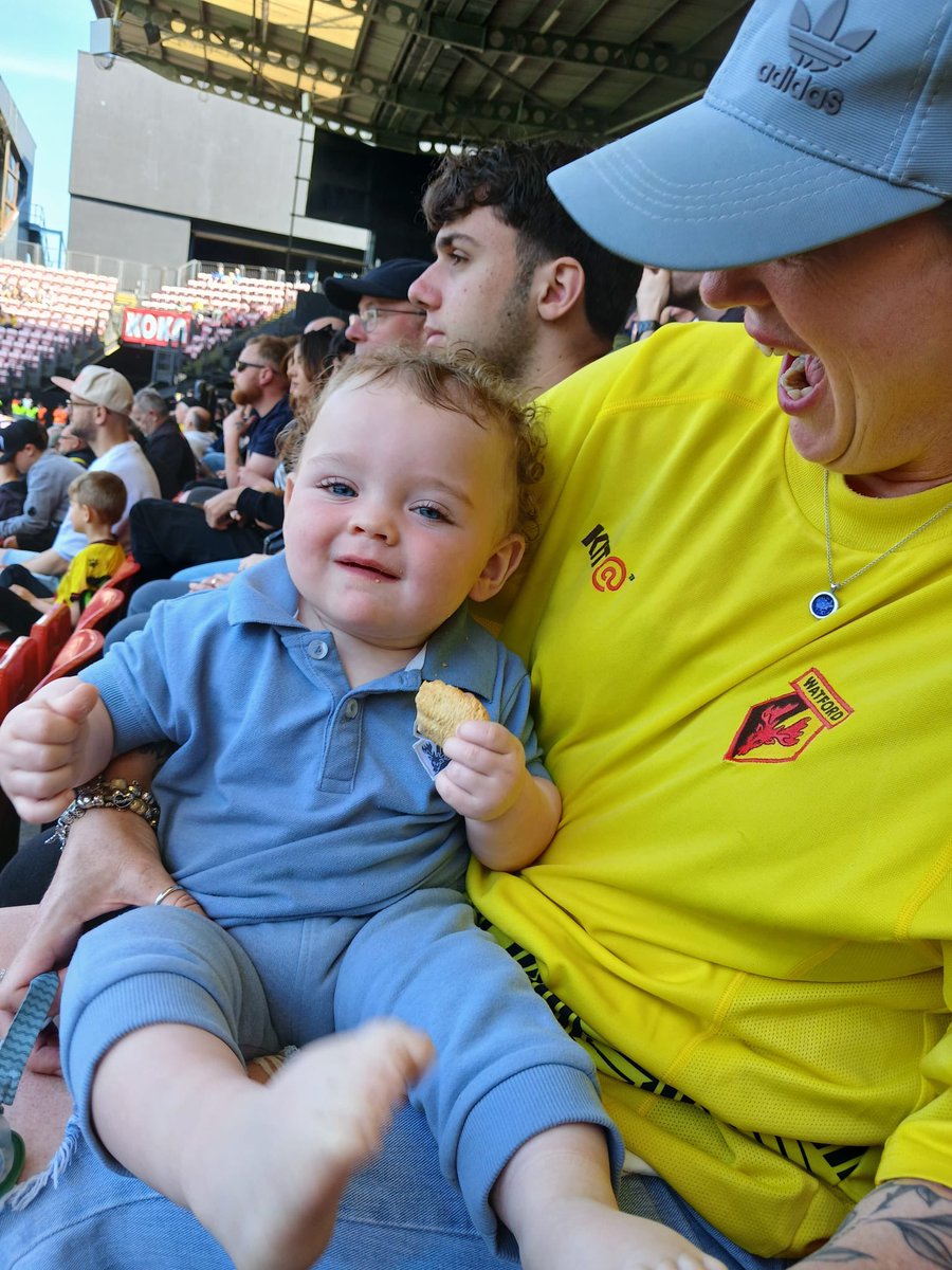 weaver_v's tweet photo. First game for this one year old on Monday @1HHornet @watfordfc safe to say he enjoyed and slept well. 😉🐝 https://t.co/dvFcDds27B