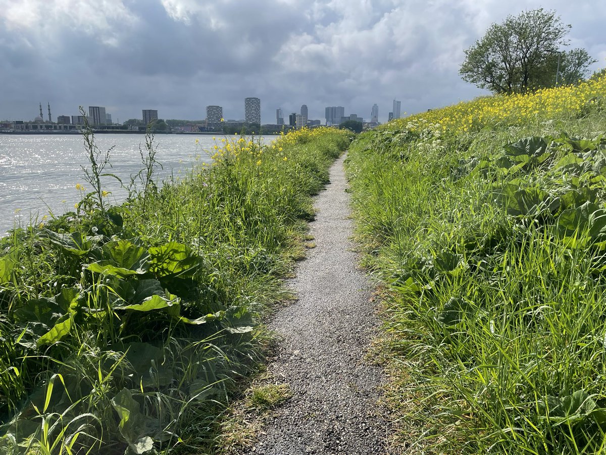 Omasaurus's tweet image. Rotterdam 3 mei 2026