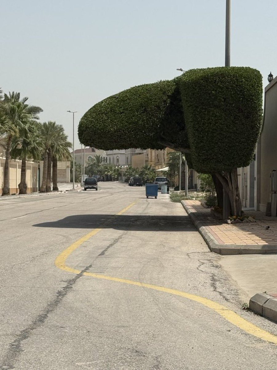 عائشة سالم 🇦🇪 tweet media