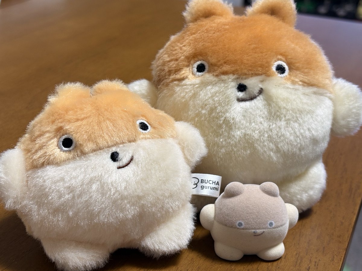 おかかズ✌🏻 #うちのBUCHAgurumi