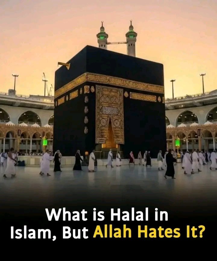 vermerlleey tweet media