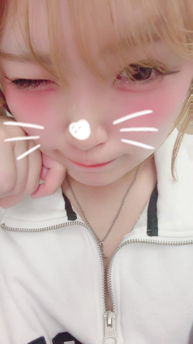 ひめ@まーめいどめいず (@nyanpp32) / Posts / X