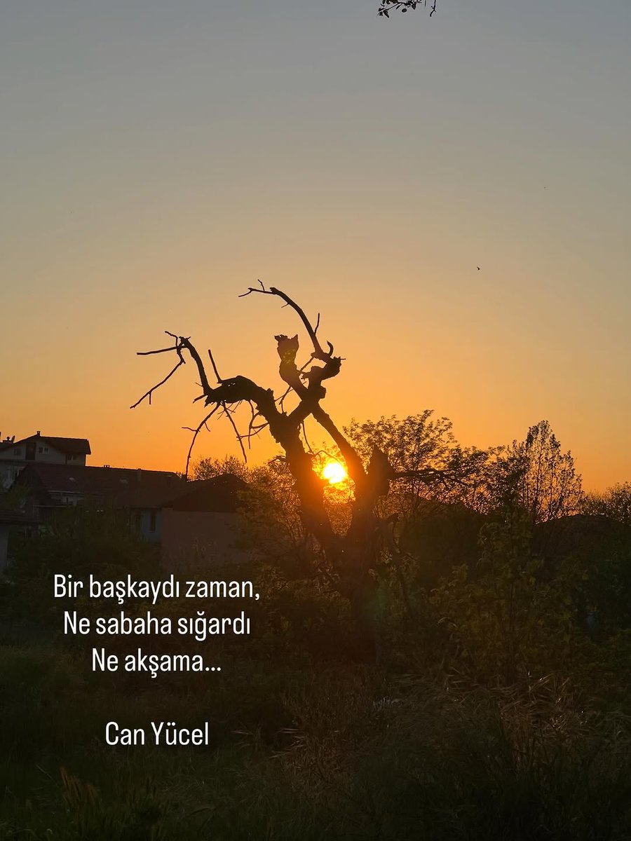 İsmail Çelik tweet media