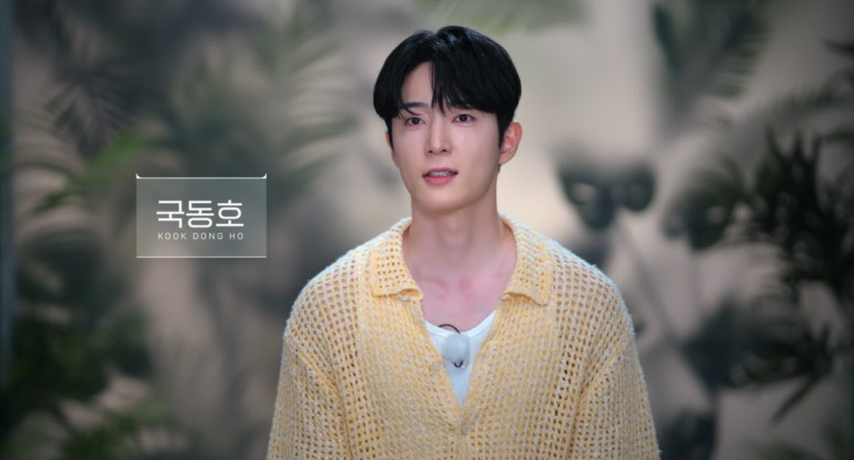 dsplee 디스플리 tweet media