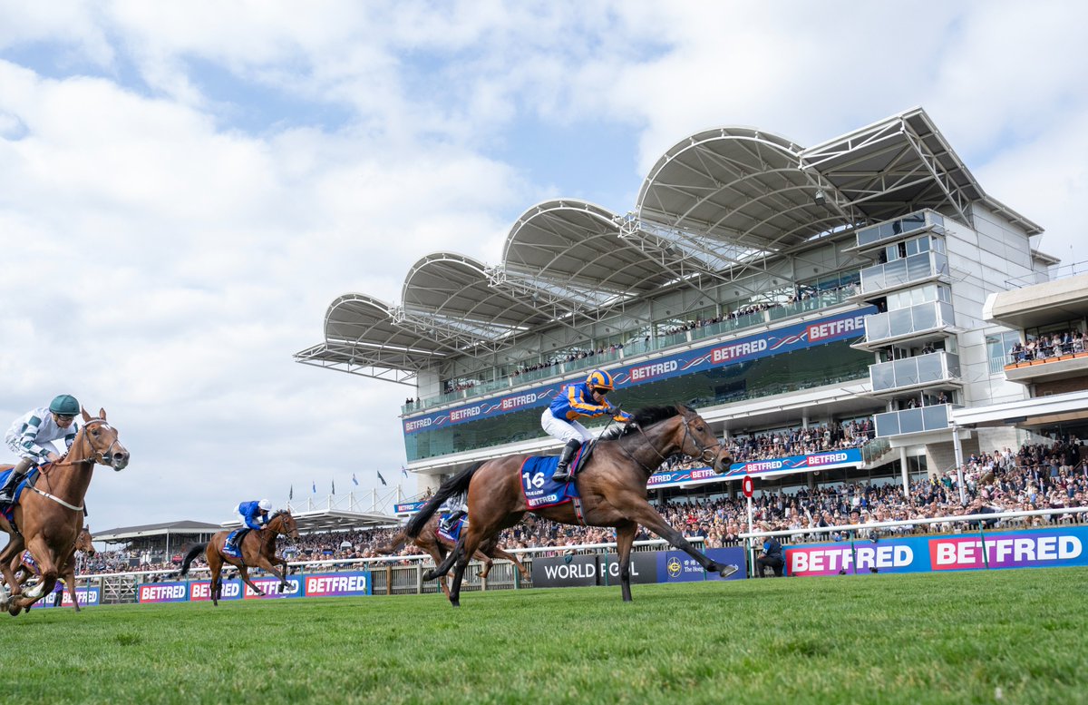 Horse Racing Ireland tweet media