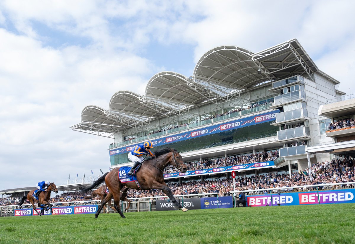 Horse Racing Ireland tweet media