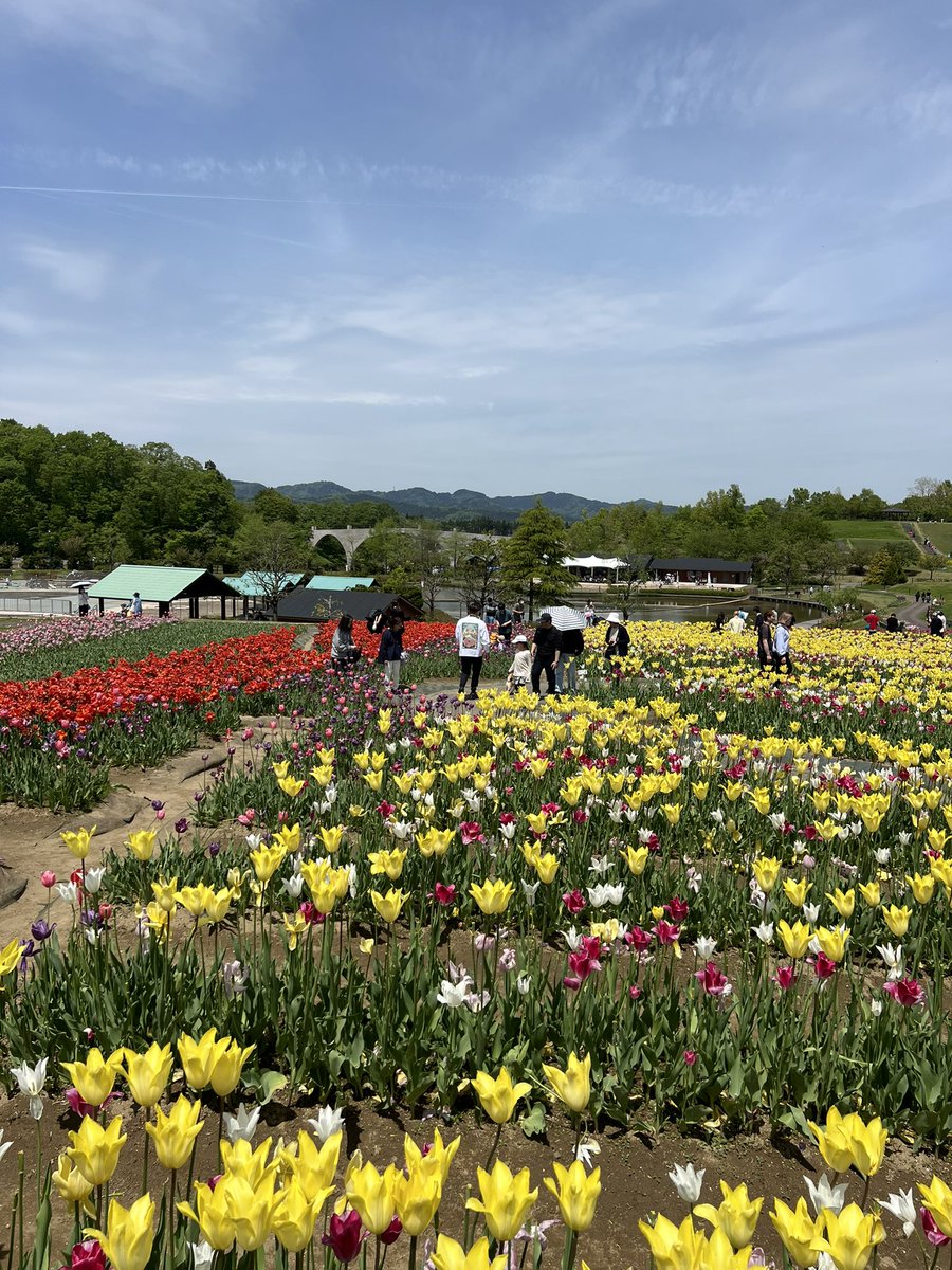アスホールデム tweet media