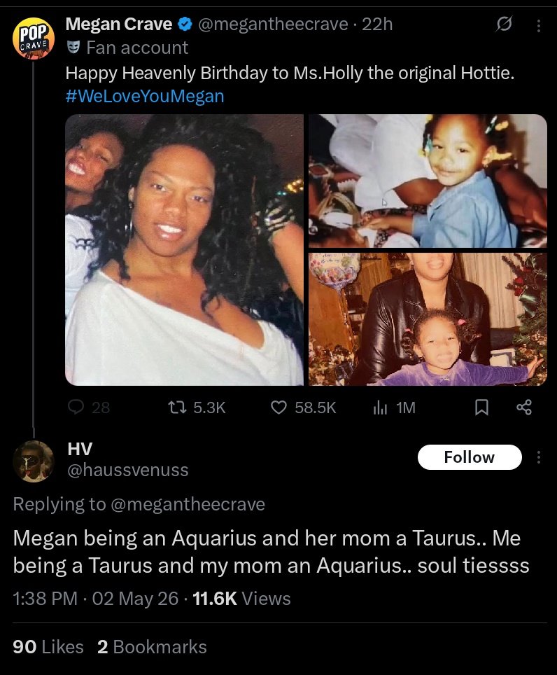 I'm starting to think Meg the stallion fans drunk the Boule Kool-aid bruh