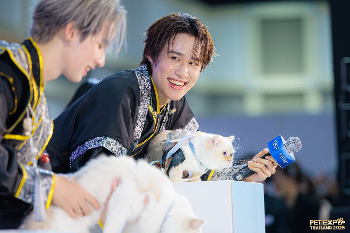 MissChu 🐶 tweet media