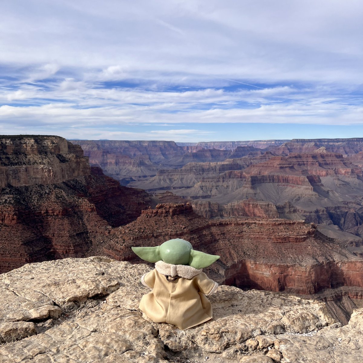 luvgrogu's tweet photo. ✨
GrandCanyon
Grogu

#Grogu #babyyoda #TheMandalorian #ThisIsTheWay #StarWars https://t.co/r4GZfR5vUT