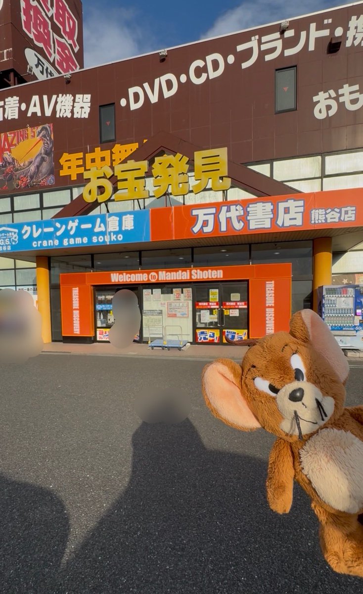 たぬ先生 tweet media