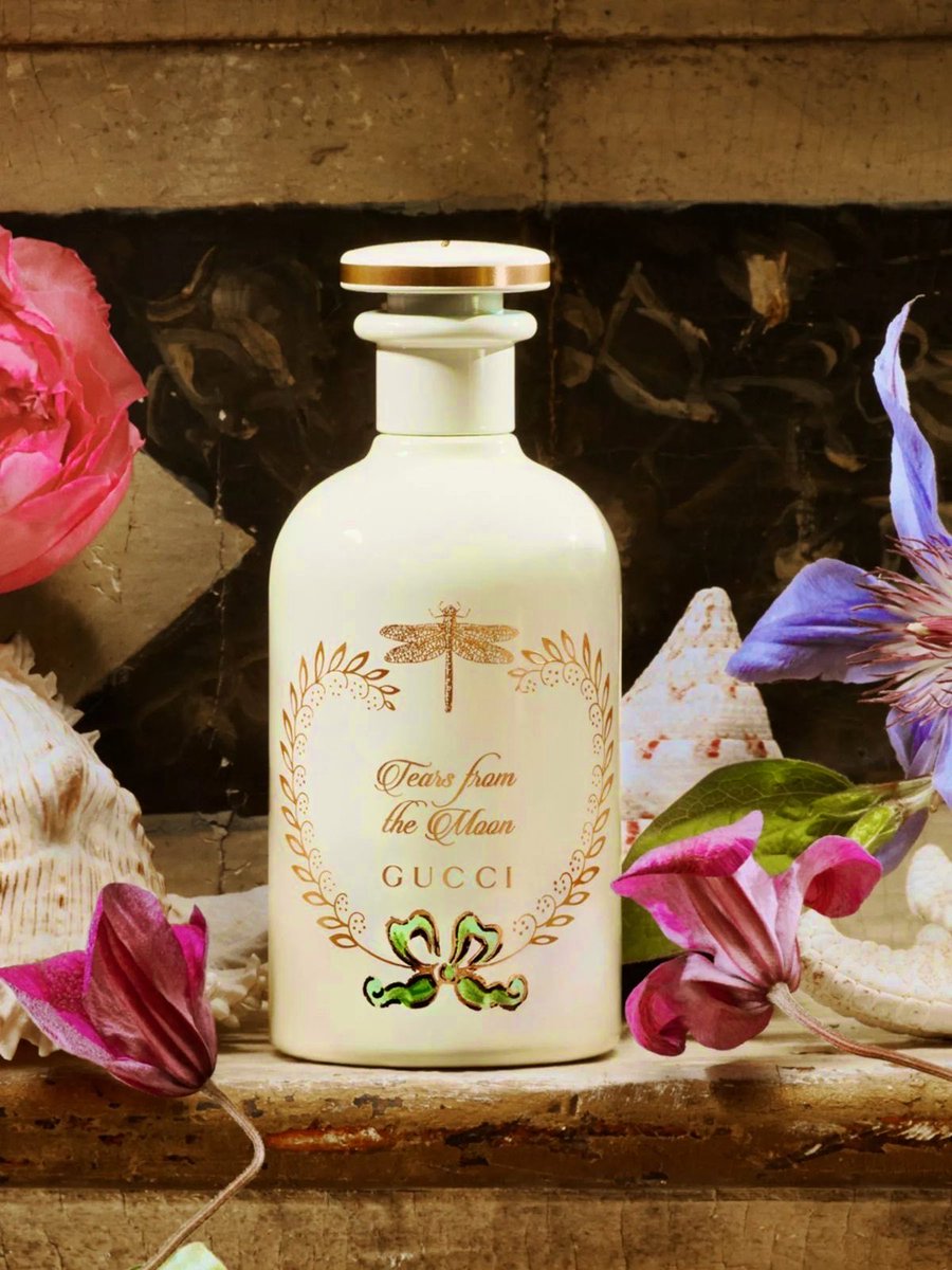 آيلا عطور ♡ tweet media