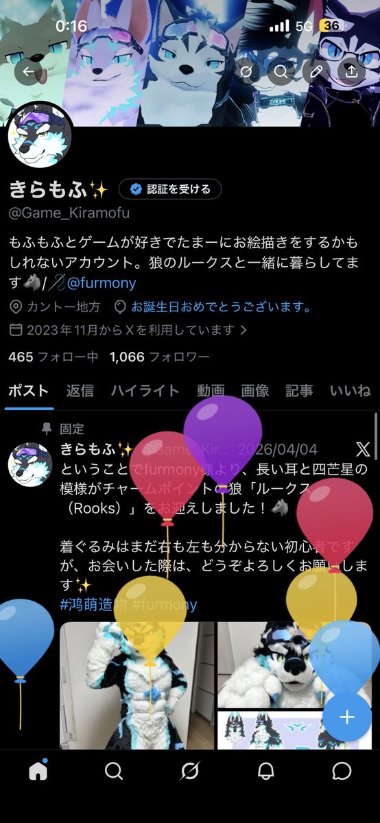 きらもふ✨️ tweet media