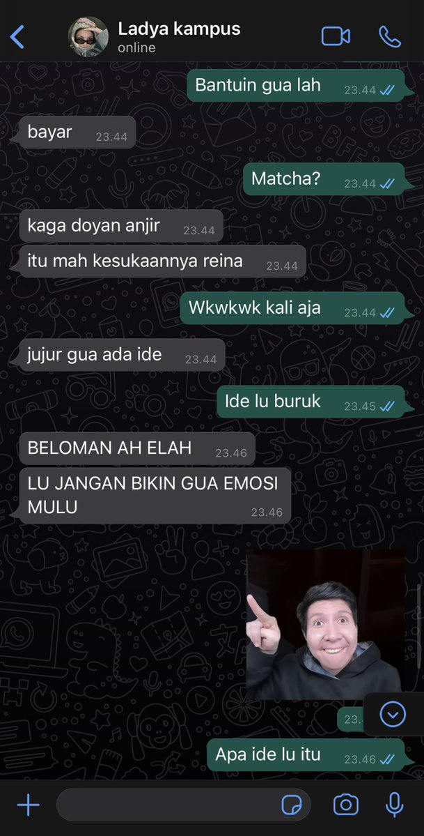sal tweet media