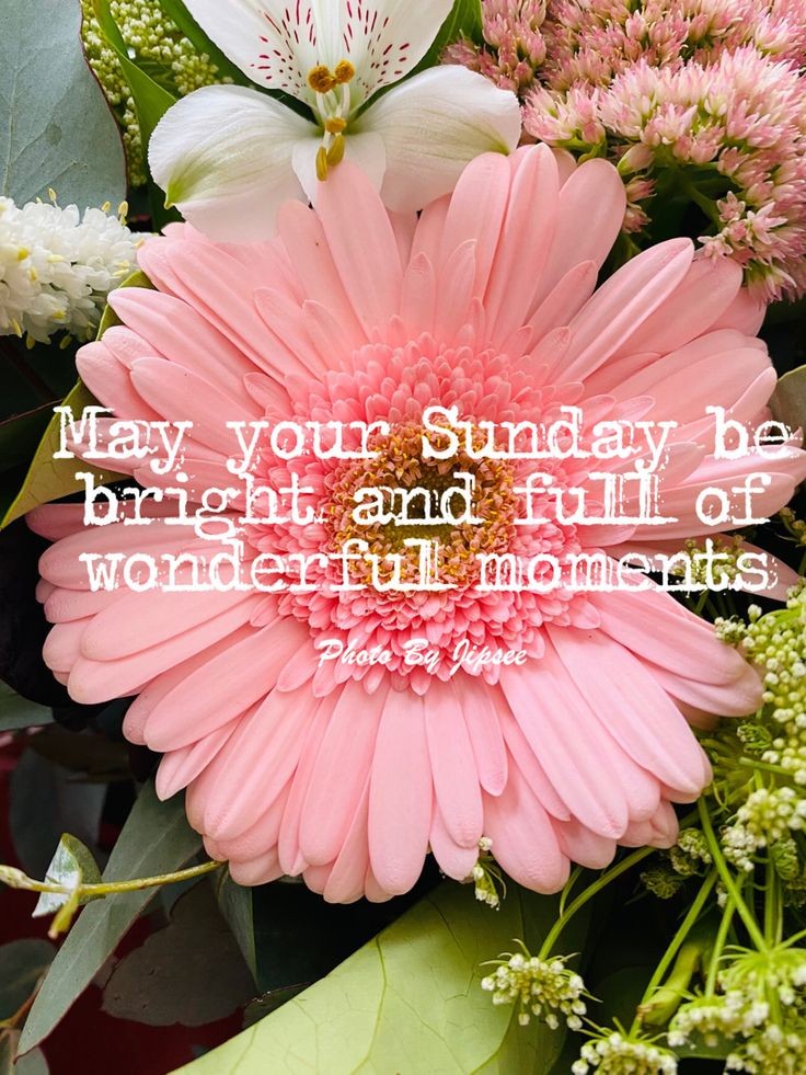 MerryMay tweet media