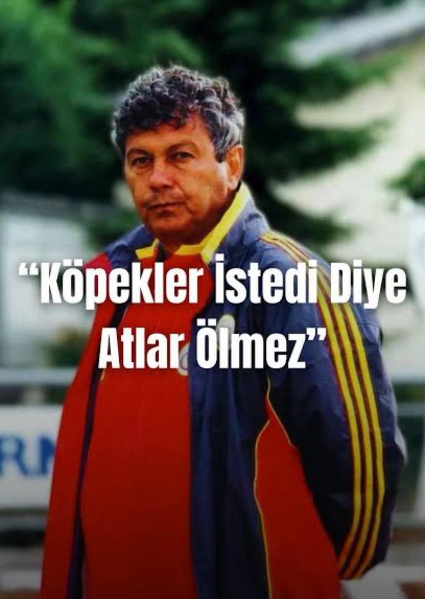 🇹🇷 tweet media