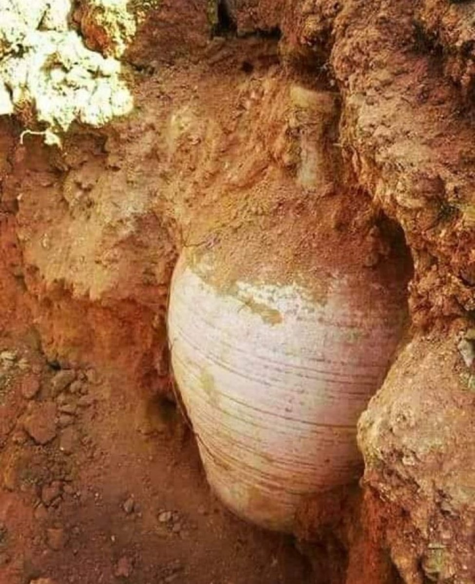 رغد العجمي tweet media