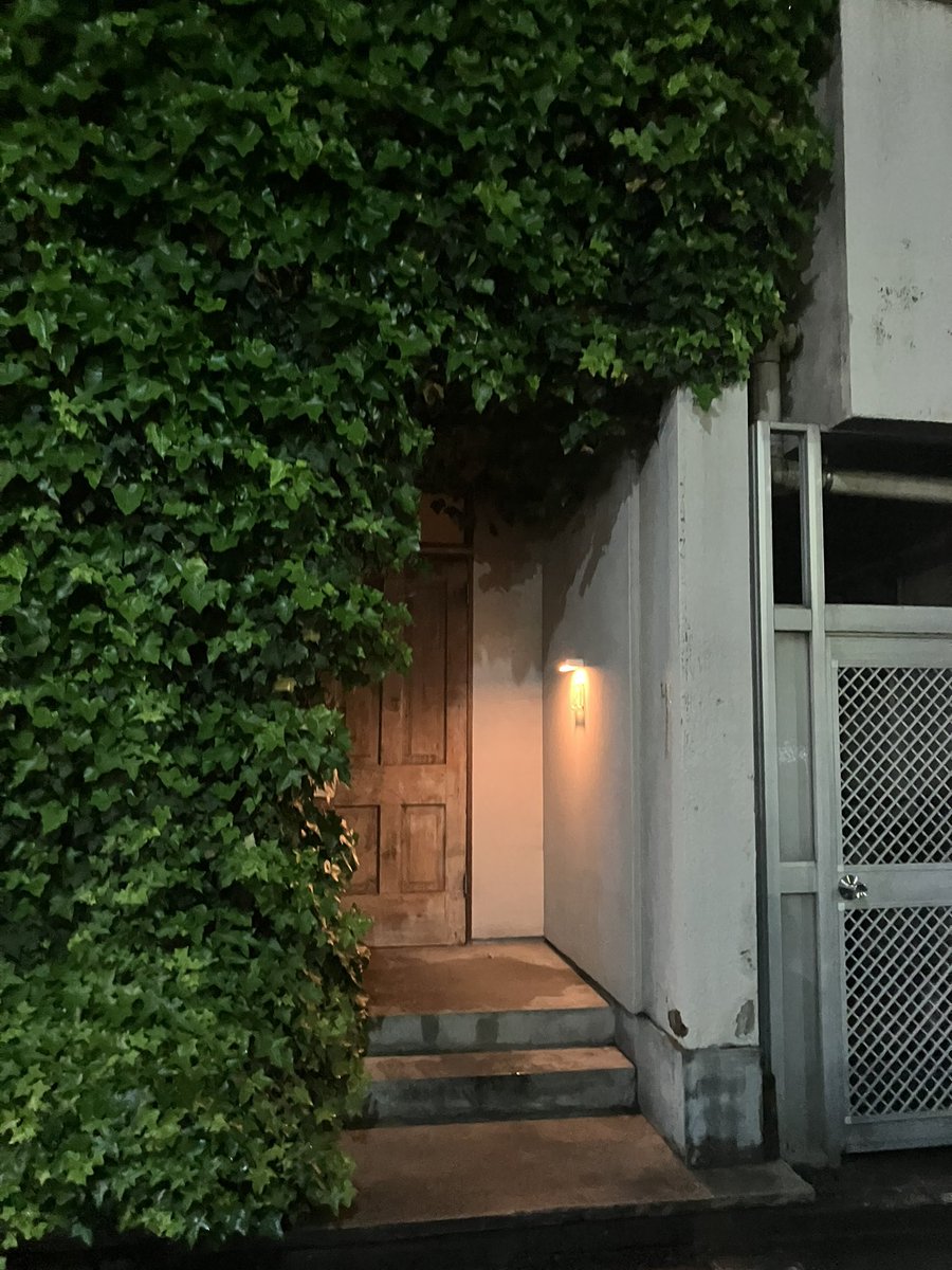 でめ⭐︎ロックされたので新垢です tweet media