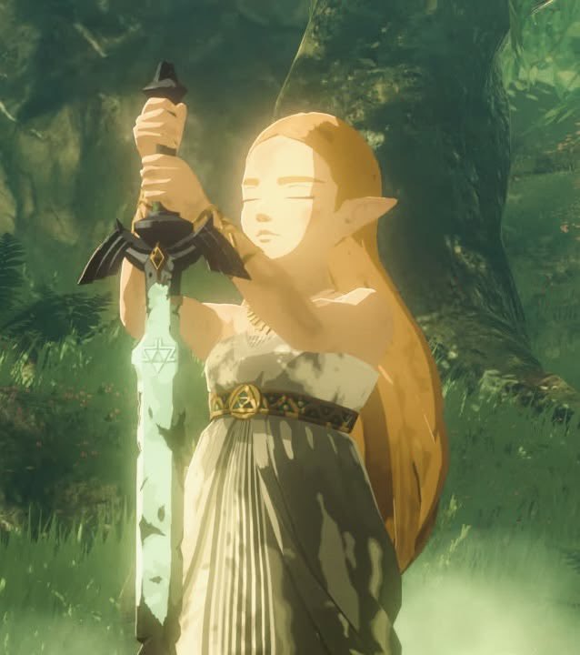 Daily Princess Zelda tweet media