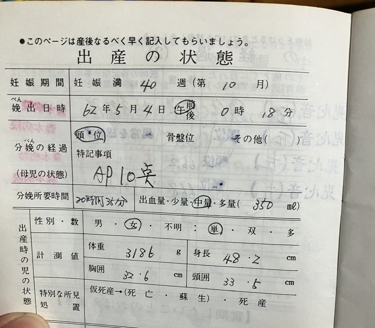 前田友里子@アガリスクエンターテイメント tweet media