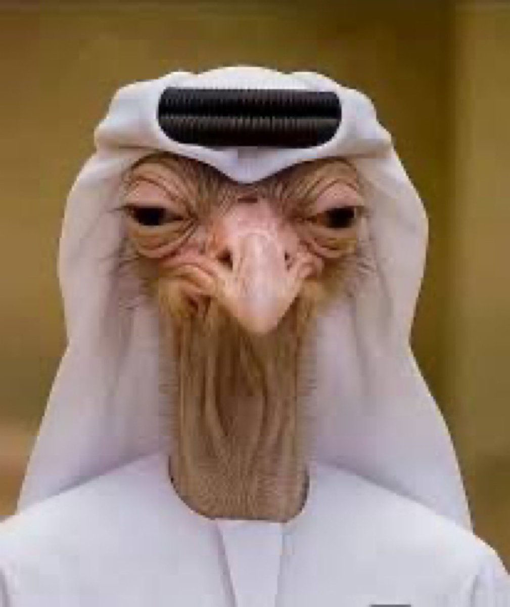 🇸🇦: tweet media